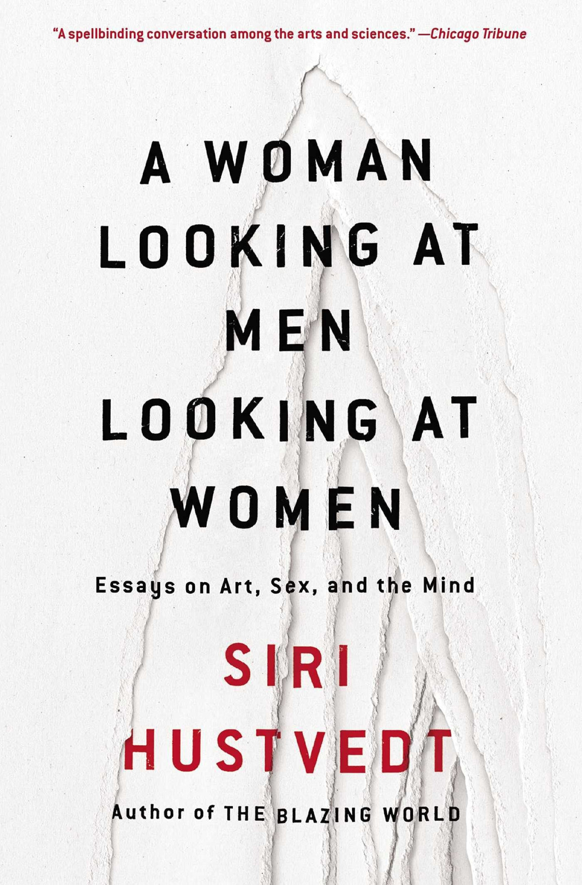 A Woman Looking At Men Looking At Women Essays On Art Sex And The Mind Reprint Hustvedt
