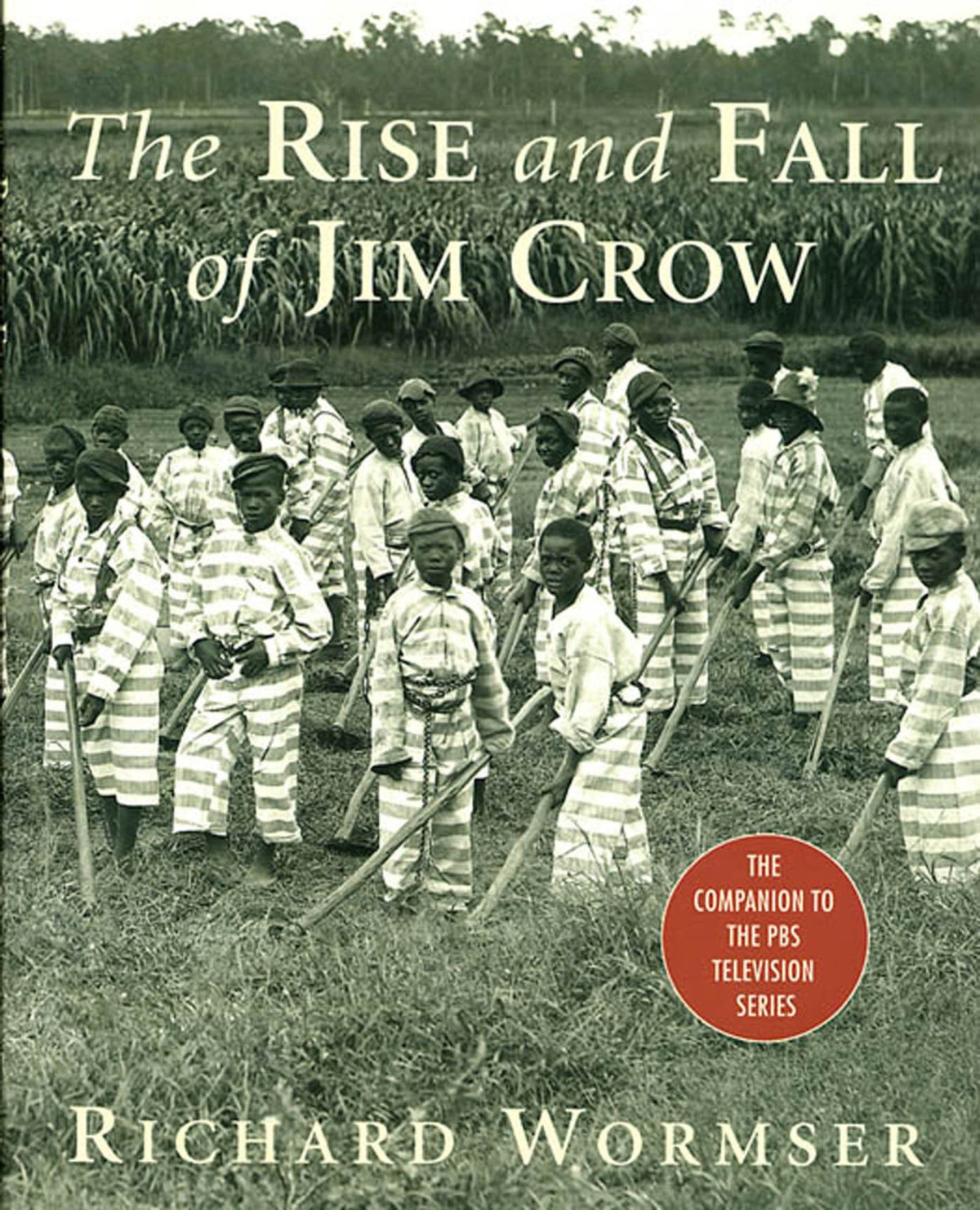 The Rise And Fall Of Jim Crow The Companion To The Pbs Television Series 2nd Edition Wormser