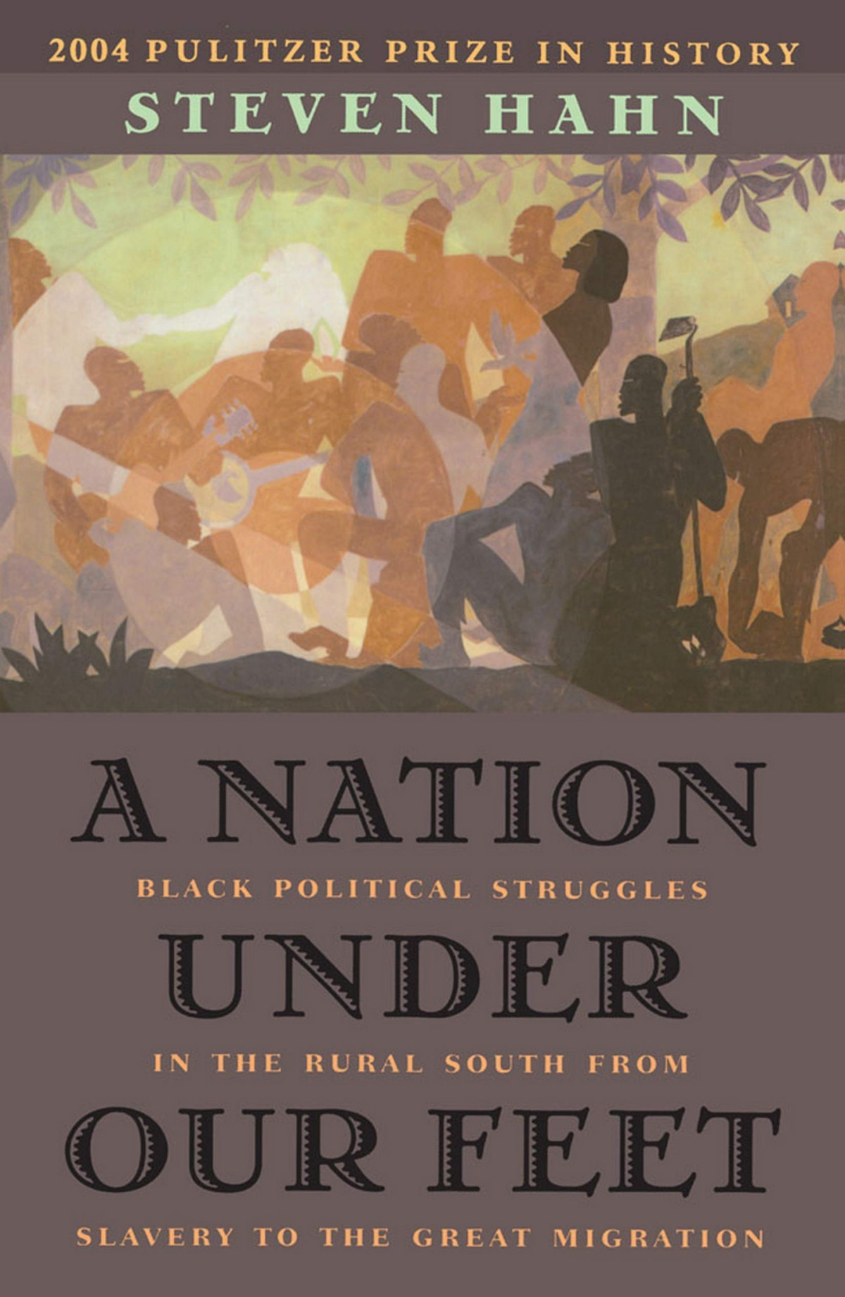 A Nation Under Our Feet Black Political Struggles In The Rural South From Slavery To The Great Migration First Paperback Edition Hahn