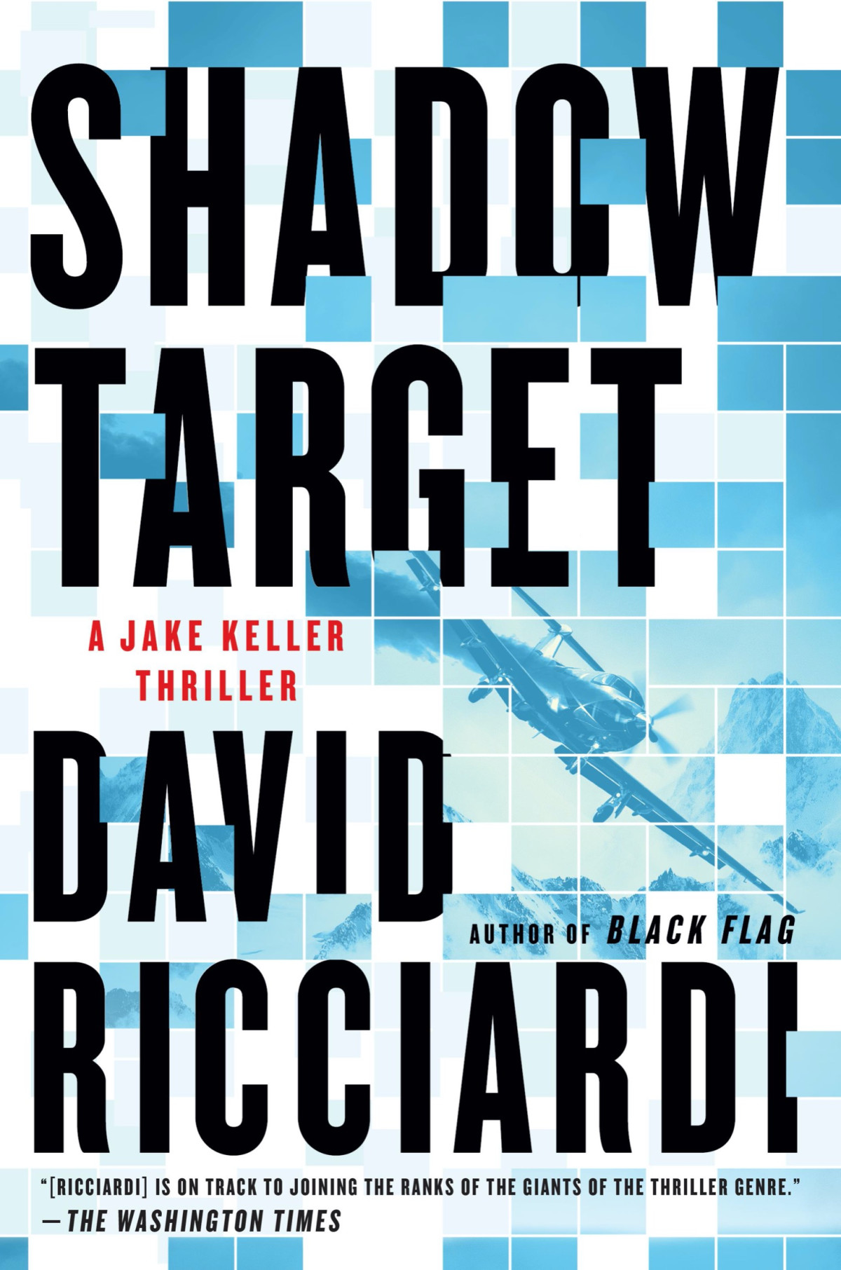 Shadow Target David Ricciardi