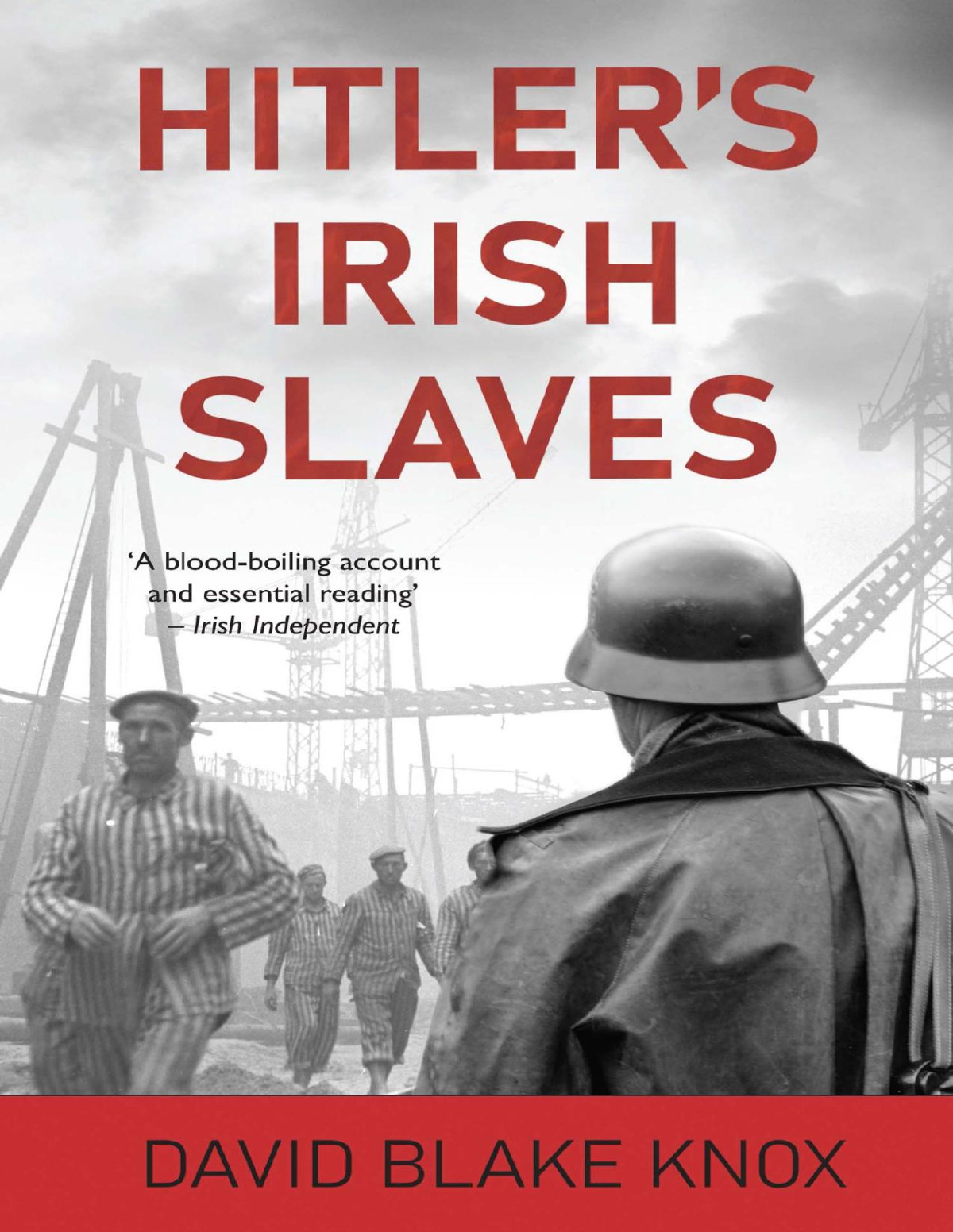 Hitlers Irish Slaves Revised Ed David Blake Knox