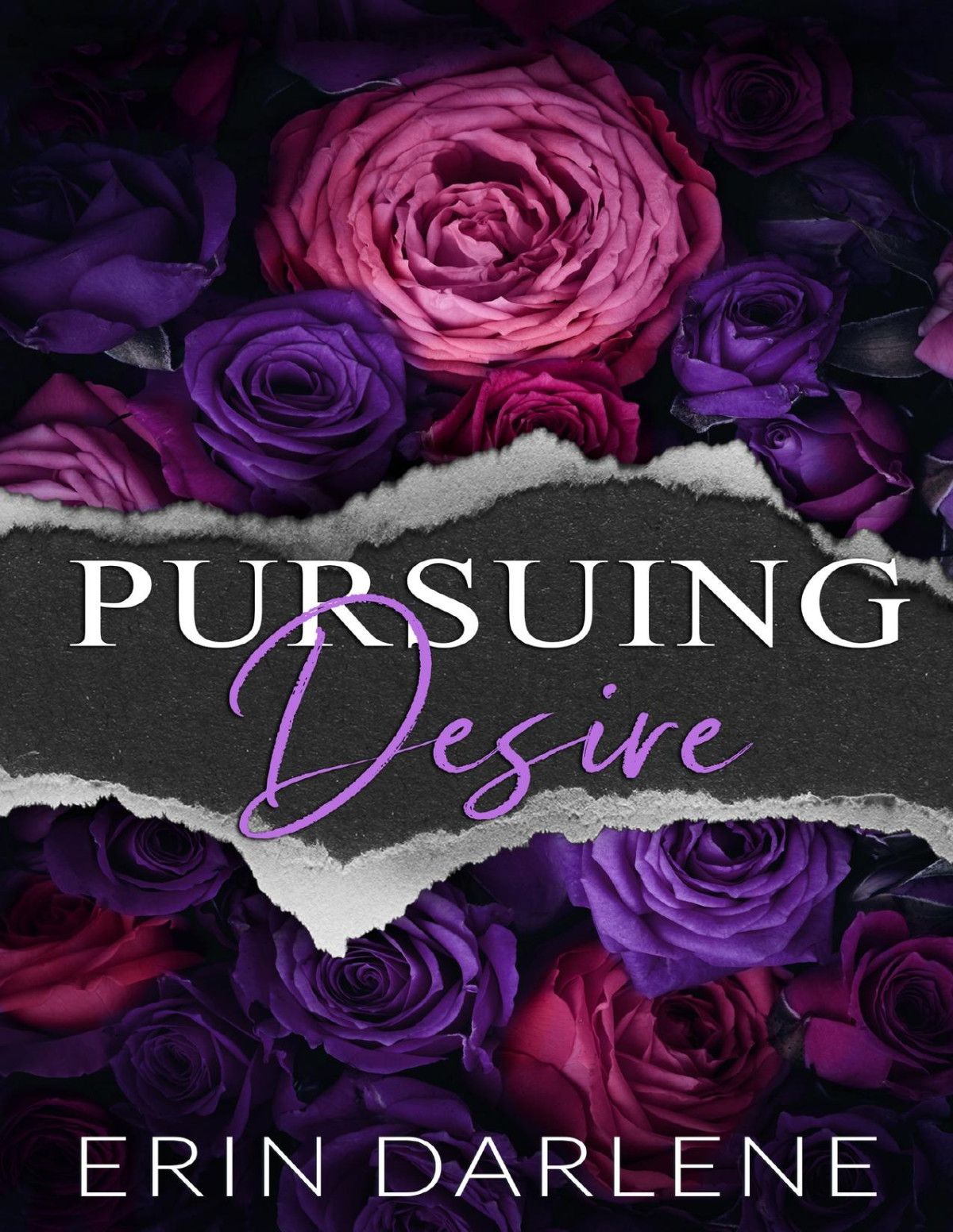 Pursuing Desire An Enemies To Lovers Road Trip Erin Darlene