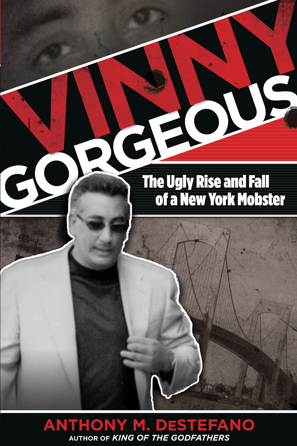 Vinny Gorgeous Anthony M Destefano