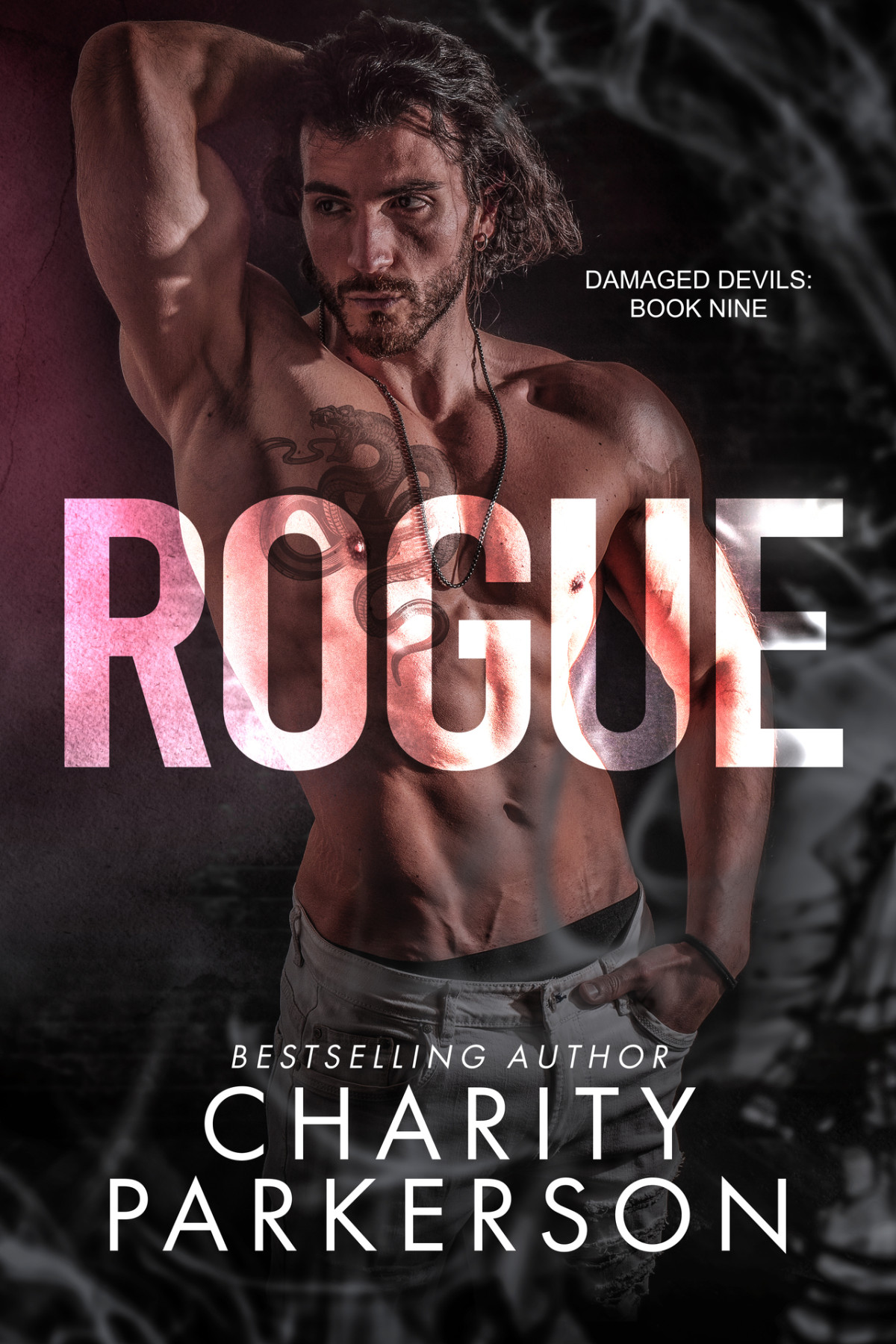 Rogue Damaged Devils Book 9 Charity Parkerson