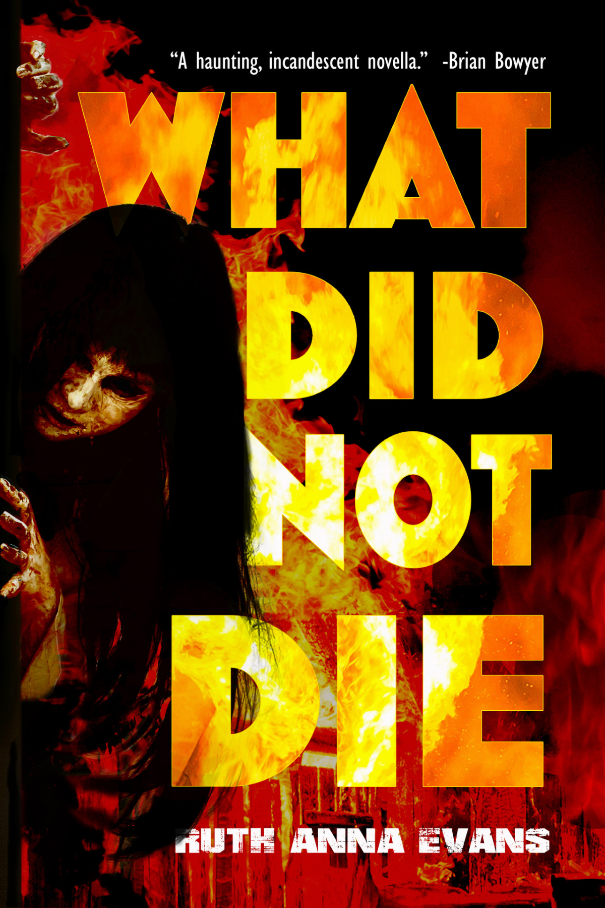 What Did Not Die A Ghost Story Ruth Anna Evans