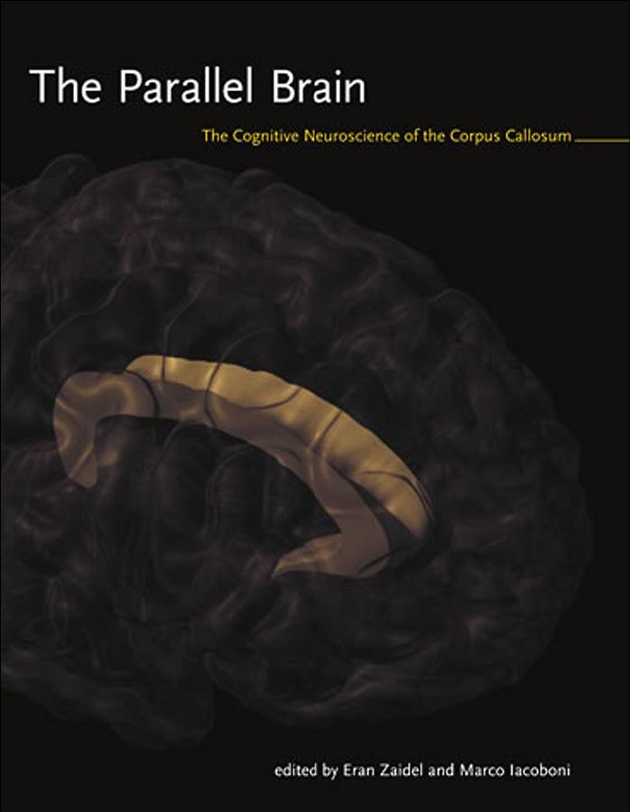 Eran Zaidel Marco Iacoboni The Parallel Brain The Cognitive Neuroscience Of The Corpus Callosum Issues In Clinical Cognitive Neuropsychology