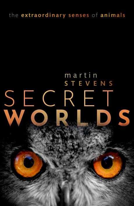 Secret Worlds The Extraordinary Senses Of Animals Martin Stevens