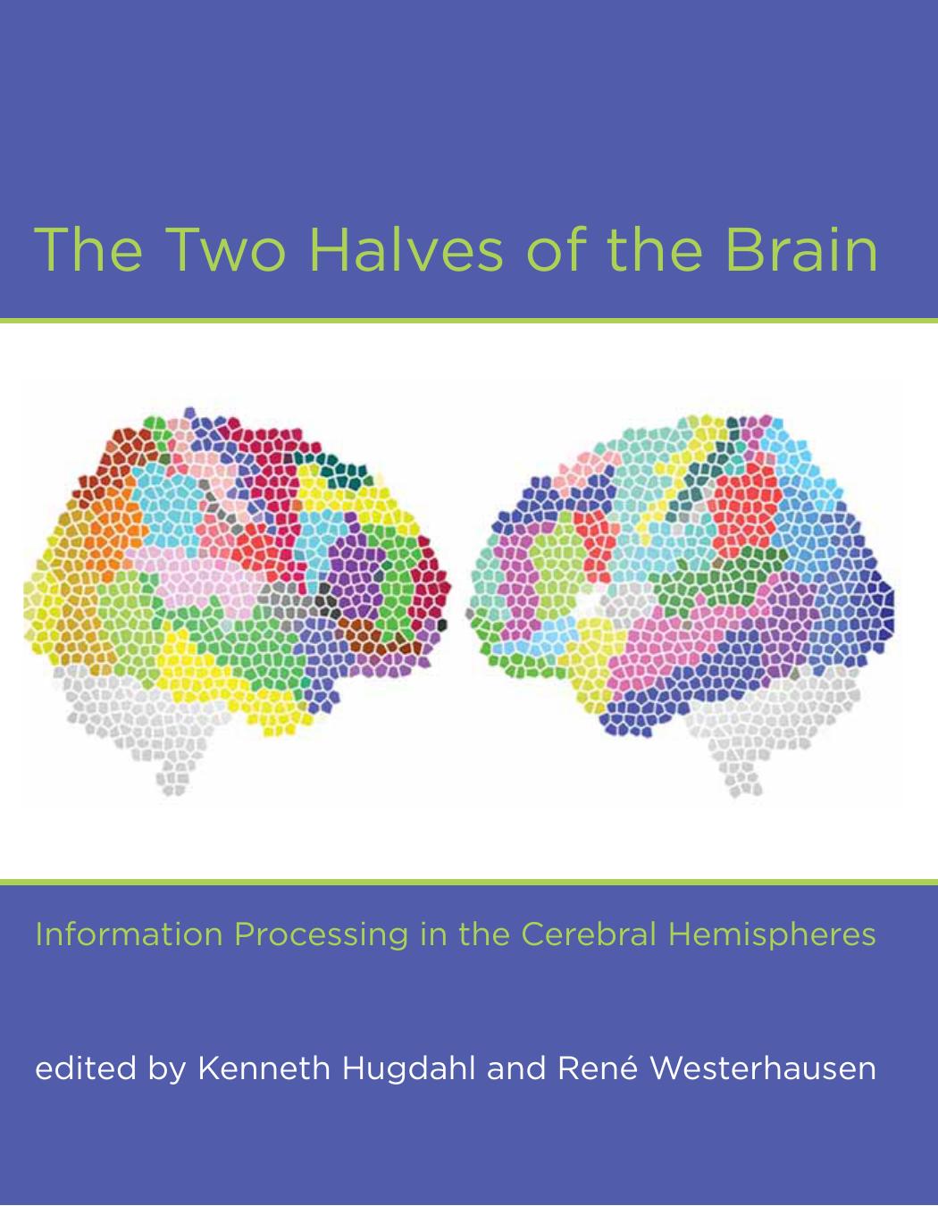 The Two Halves Of The Brain Information Processing In The Cerebral Hemispheres Kenneth Hugdahl Ren Westerhausen