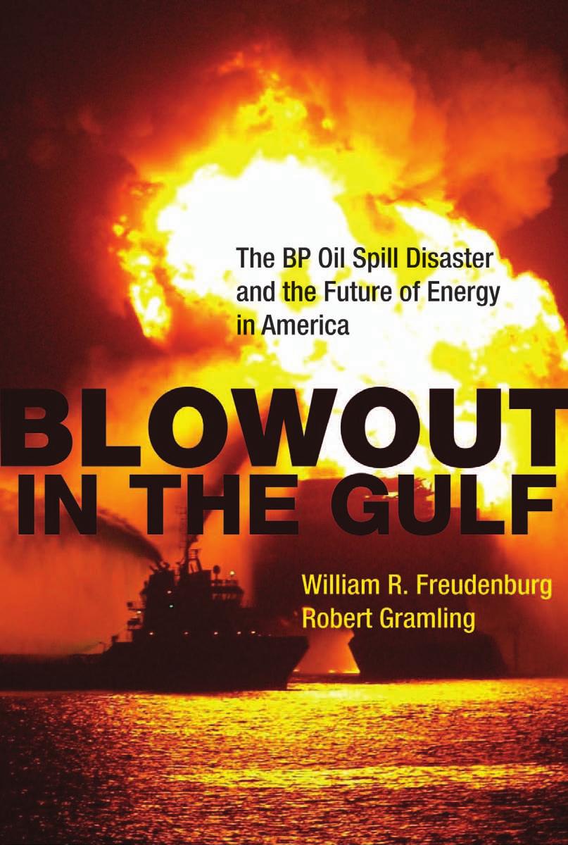 Blowout In The Gulf The Bp Oil Spill Disaster And The Future Of Energy In America William R Freudenburg Robert Gramling