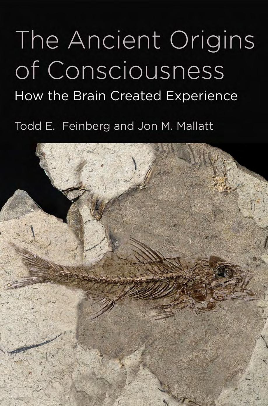 The Ancient Origins Of Consciousness How The Brain Created Experience Todd E Feinberg Jon M Mallatt