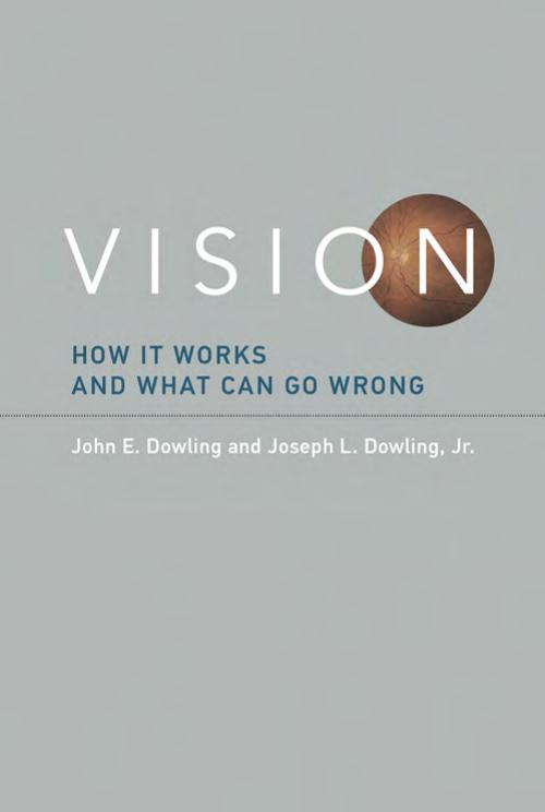 Vision How It Works And What Can Go Wrong Dowling John E Dowling Jr