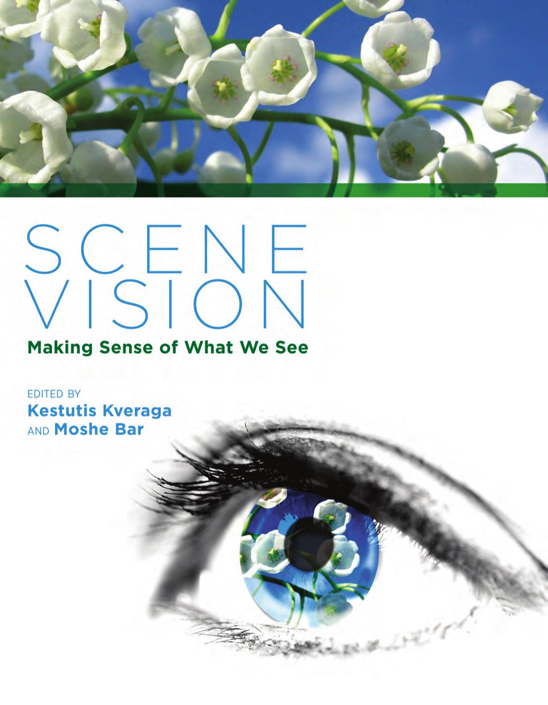 Scene Vision Making Sense Of What We See Kveraga Kestutis Editor Bar