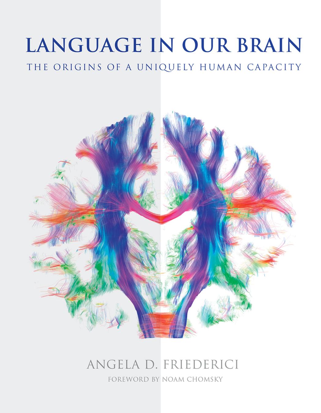 Language In Our Brain The Origins Of A Uniquely Human Capacity Friederici
