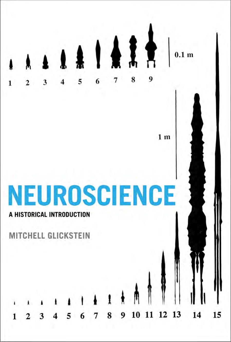 Neuroscience A Historical Introduction Mitchell Glickstein