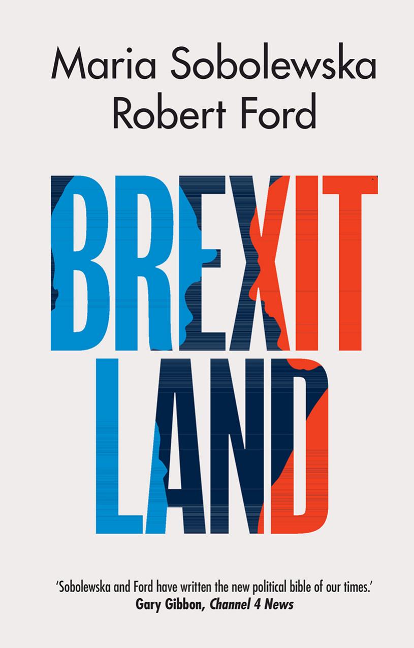 Brexitland Identity Diversity And The Reshaping Of British Politics Maria Sobolewska Robert Ford