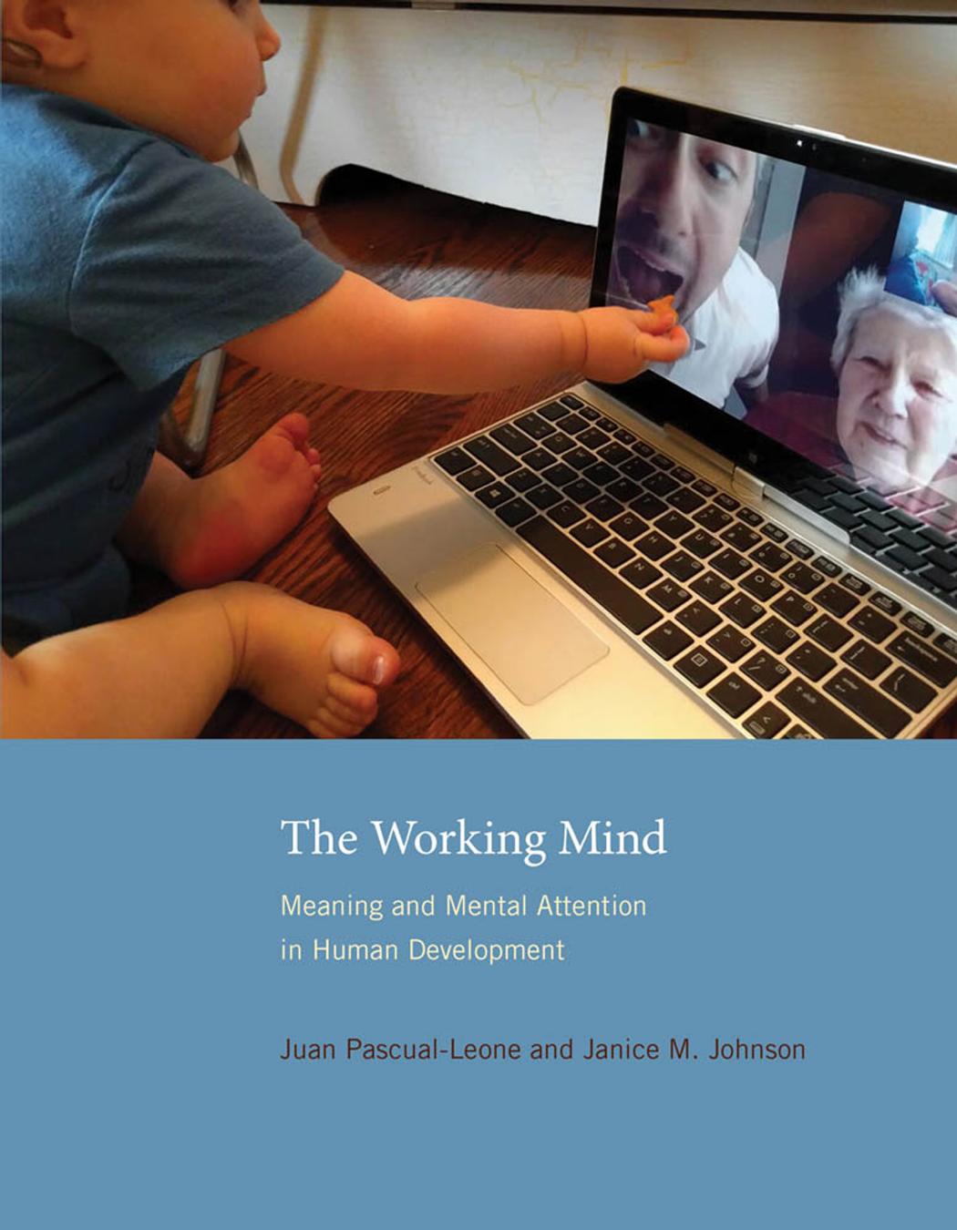 Juan Pascualleone Janice M Johnson The Working Mind Meaning Mental Attention In Human Development