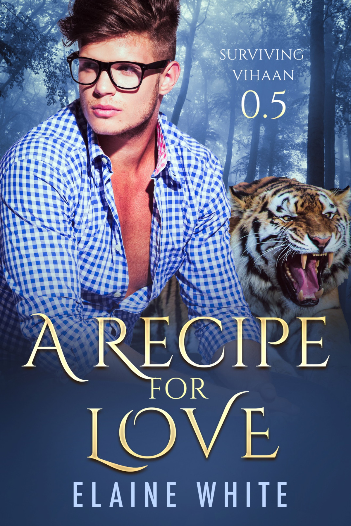 A Recipe For Love Surviving Vihaan 1st Elaine White