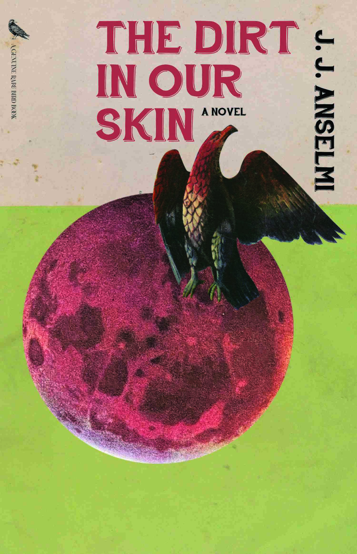 The Dirt In Our Skin 1st Edition Anselmi J J