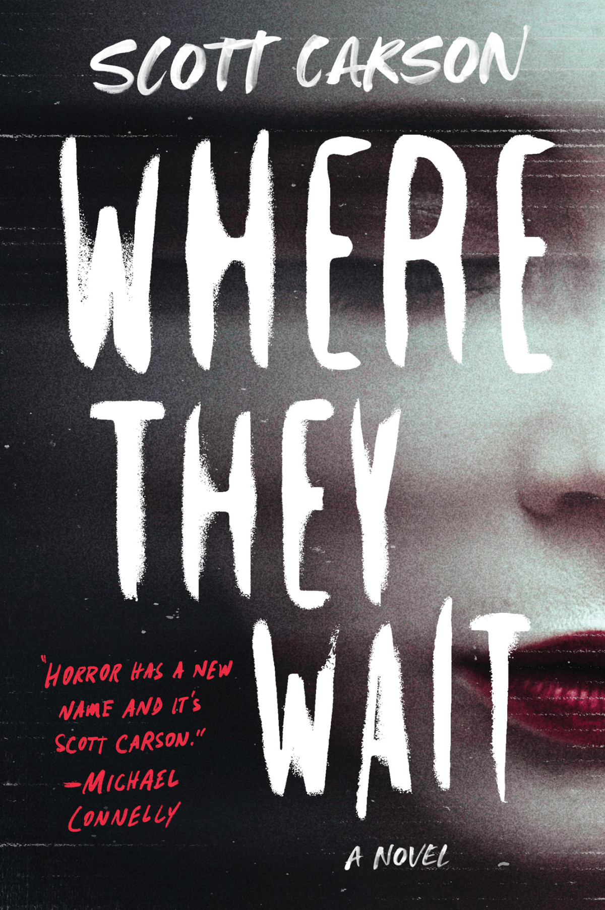 Where They Wait A Novel Scott Carson