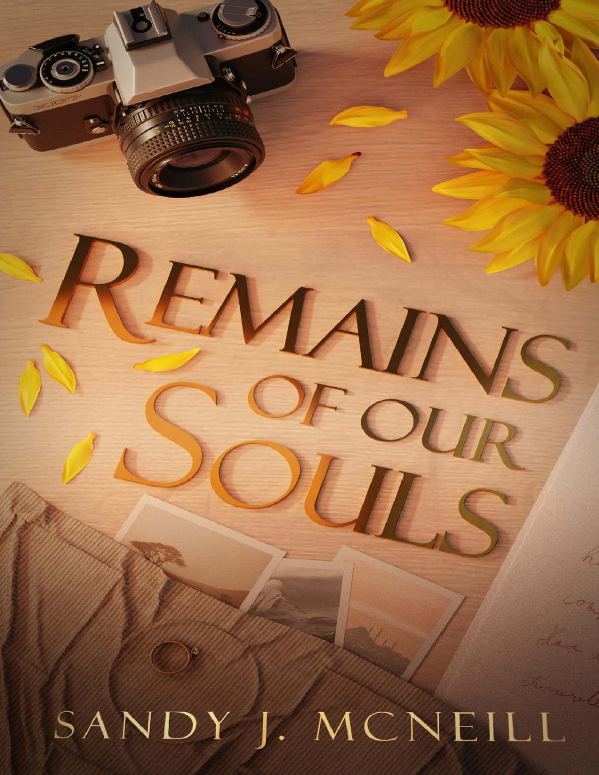 Remains Of Our Souls Sandy J Mcneill