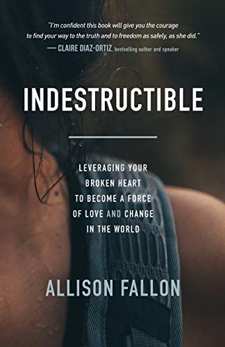 Indestructible Leveraging Your Broken Heart To Become A Force Of Love Change In The World Allison Fallon