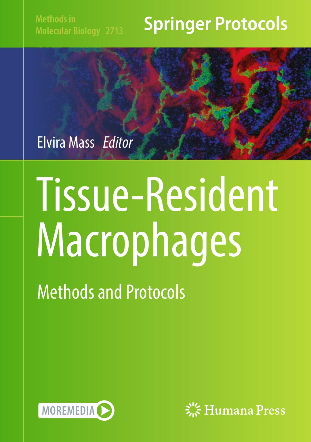 Tissueresident Macrophages Methods And Protocols Elvira Mass