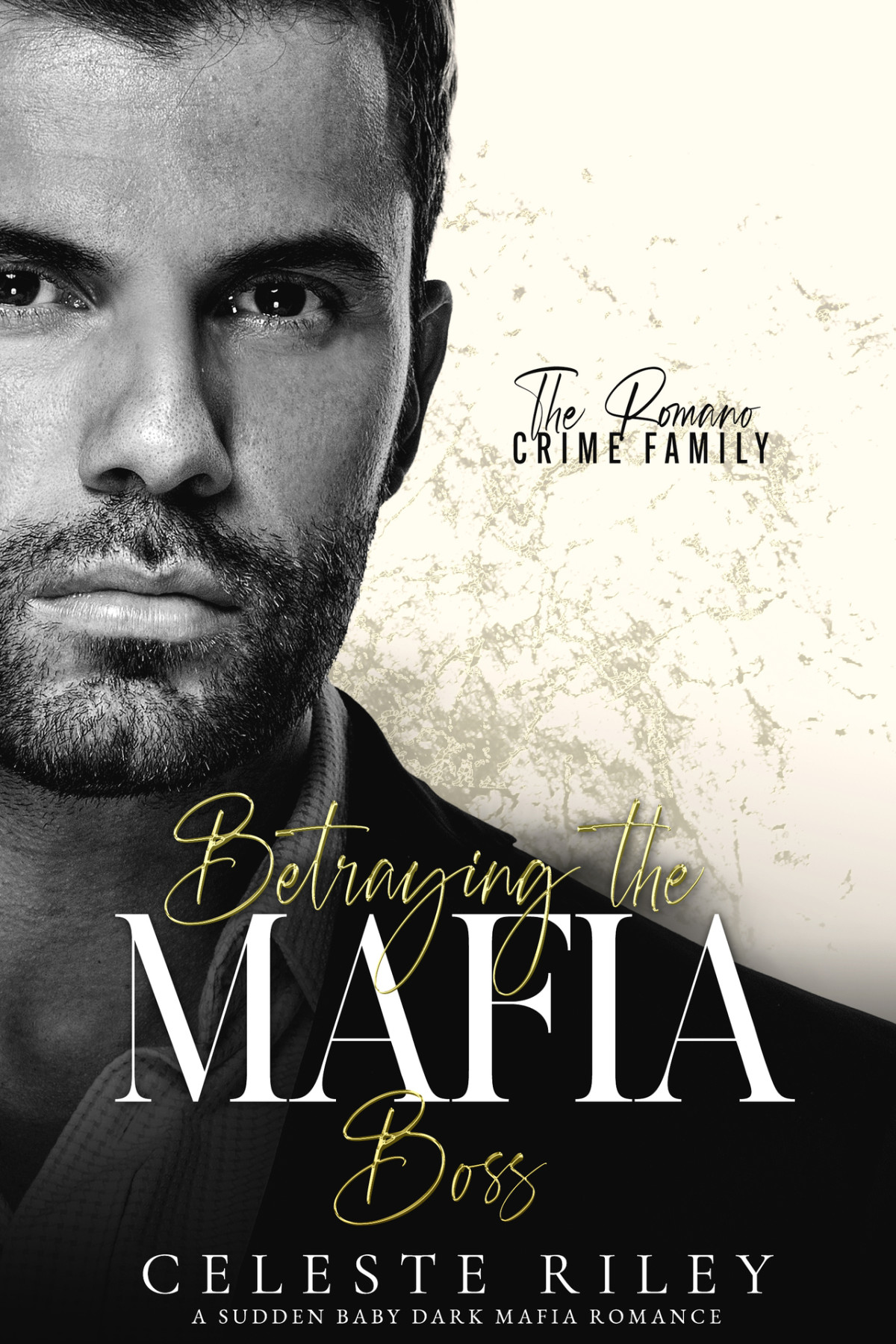 Betraying The Mafia Boss A Forced Proximity Sudden Baby Dark Mafia Romance Celeste Riley