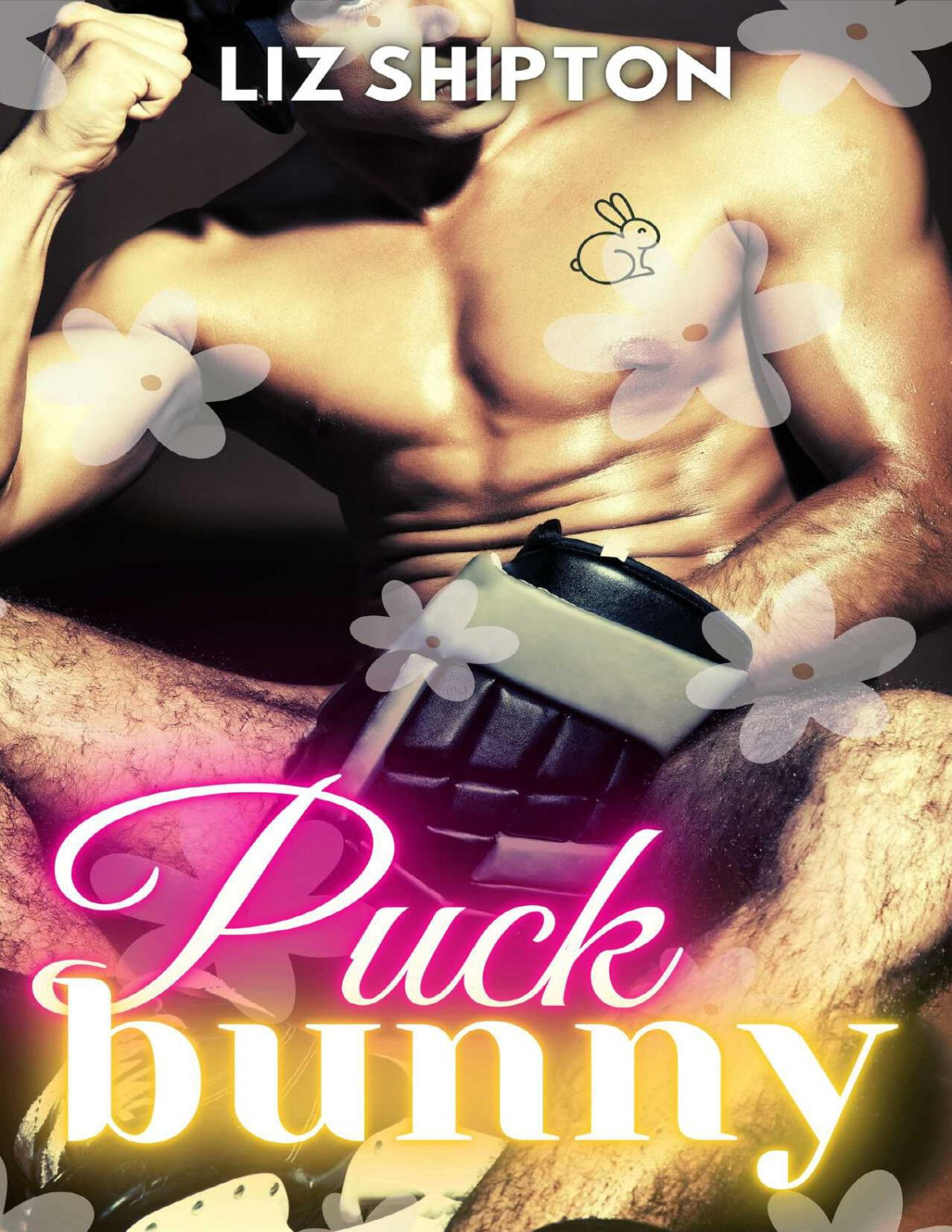 Puck Bunny Short Spicy Hockey Romance W A Shifter Twist Liz Shipton