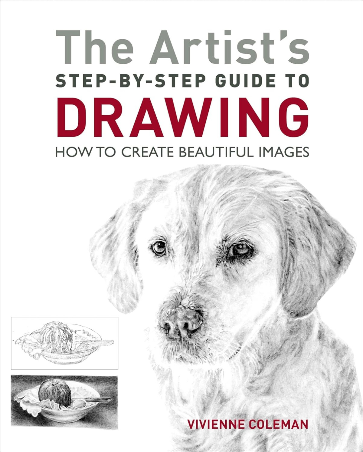 The Artists Stepbystep Guide To Drawing Vivienne Coleman