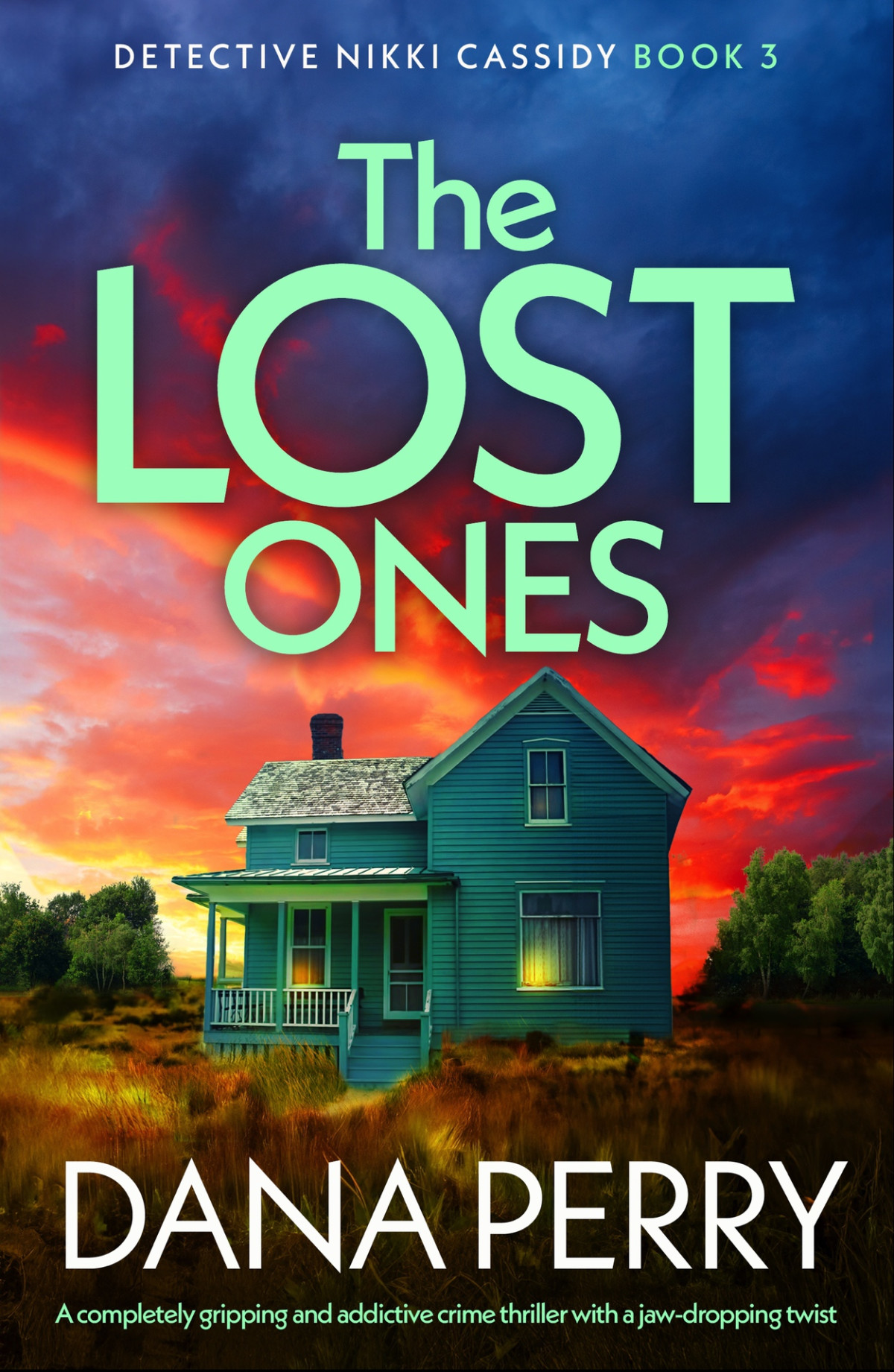The Lost Ones Detective Nikki Cassidy 3 Dana Perry