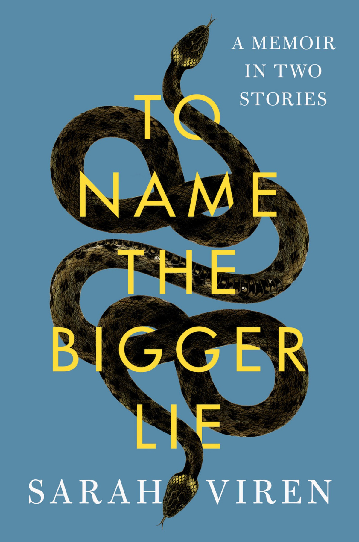 To Name The Bigger Lie A Memoir In Two Stories Sarah Viren