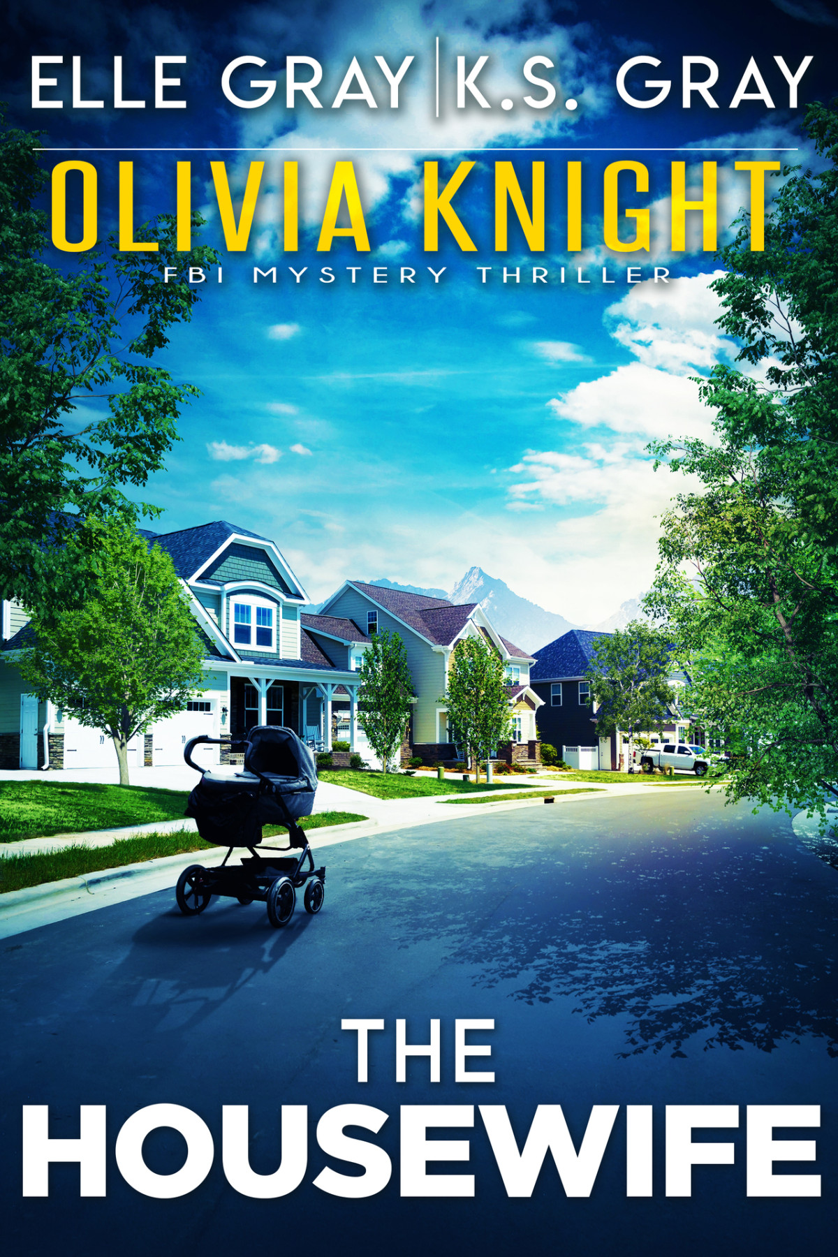 The Housewife Olivia Knight Fbi Mystery Thriller Book 12 Elle Gray Ks Gray