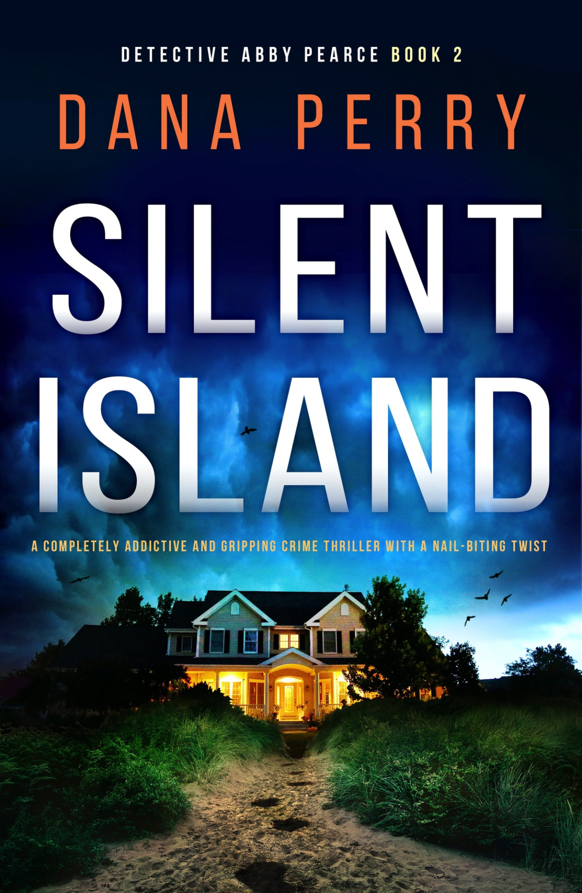 Silent Island Detective Abby Pearce 2 Dana Perry