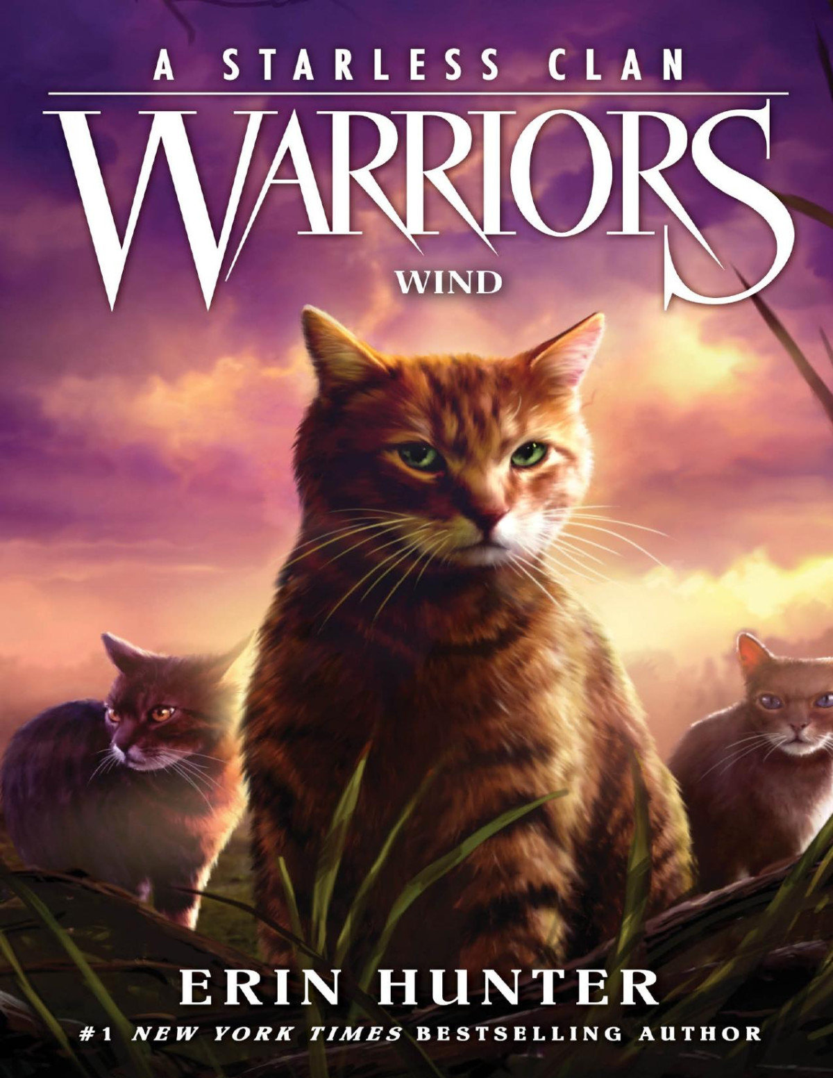 Warriors A Starless Clan 5 Wind Erin Hunter