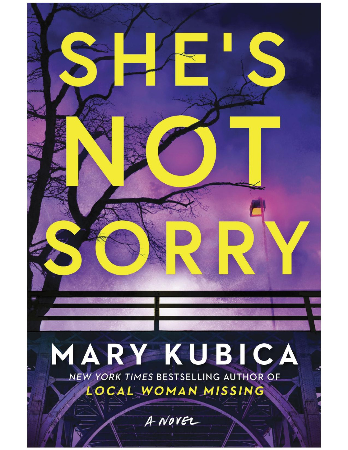 Shes Not Sorry Mary Kubica