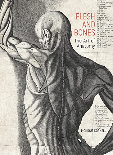 Flesh And Bones The Art Of Anatomy Monique Kornell