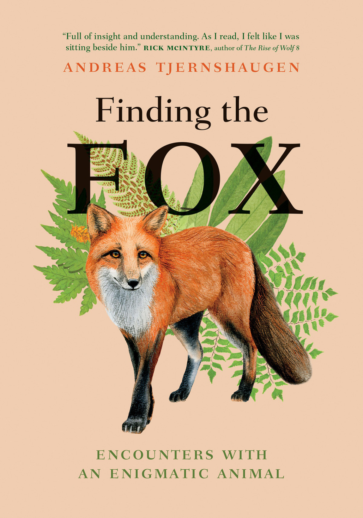 Finding The Fox Encounters With An Enigmatic Animal Andreas Tjernshaugen