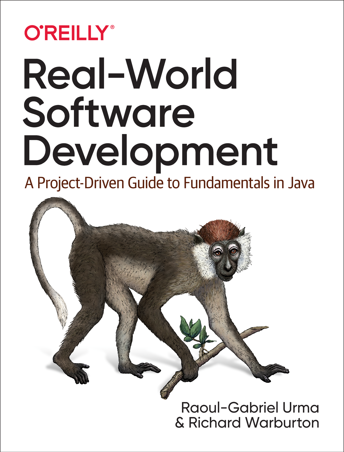 Realworld Software Development Raoulgabriel Urma