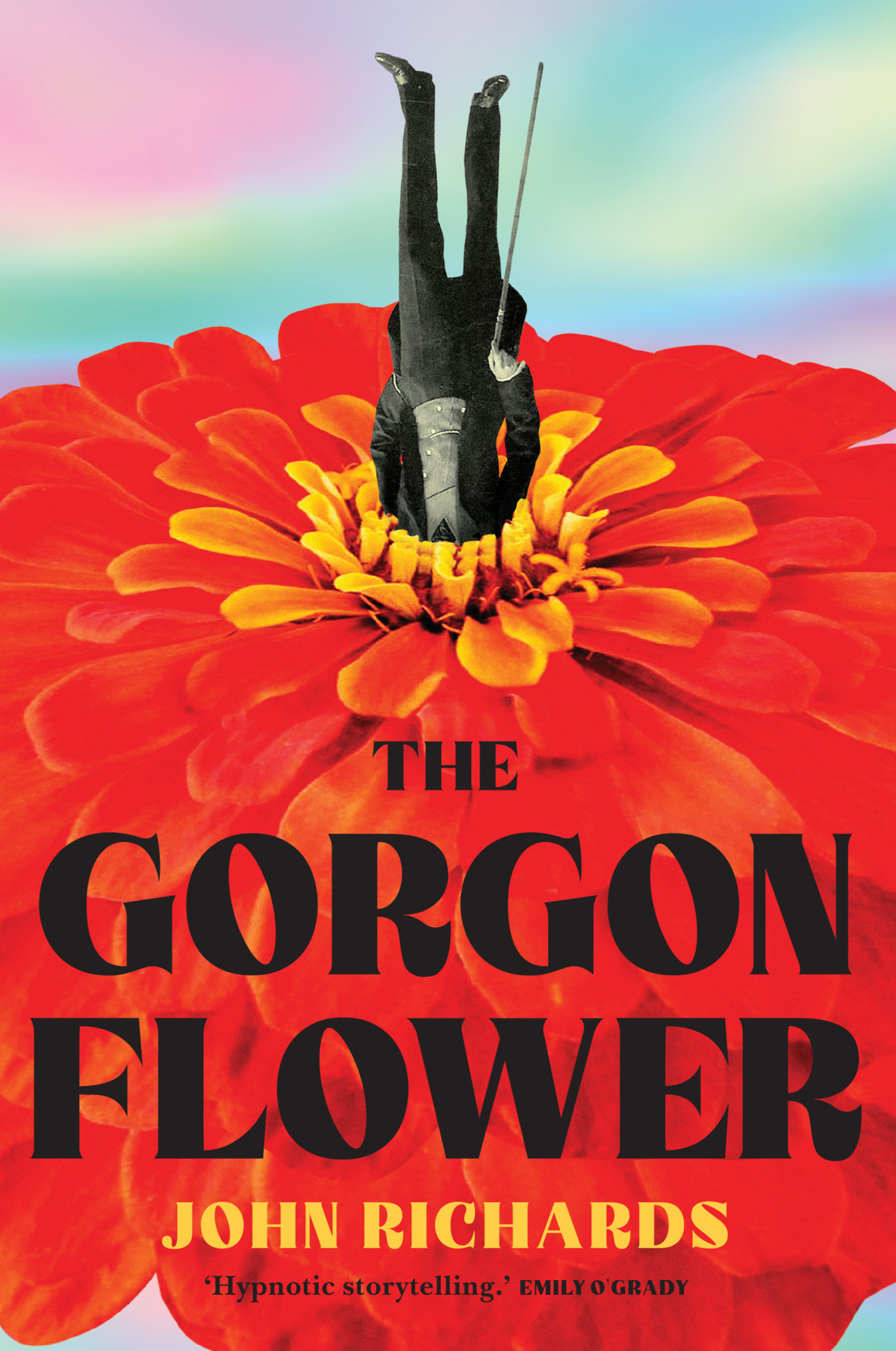 The Gorgon Flower John Richards