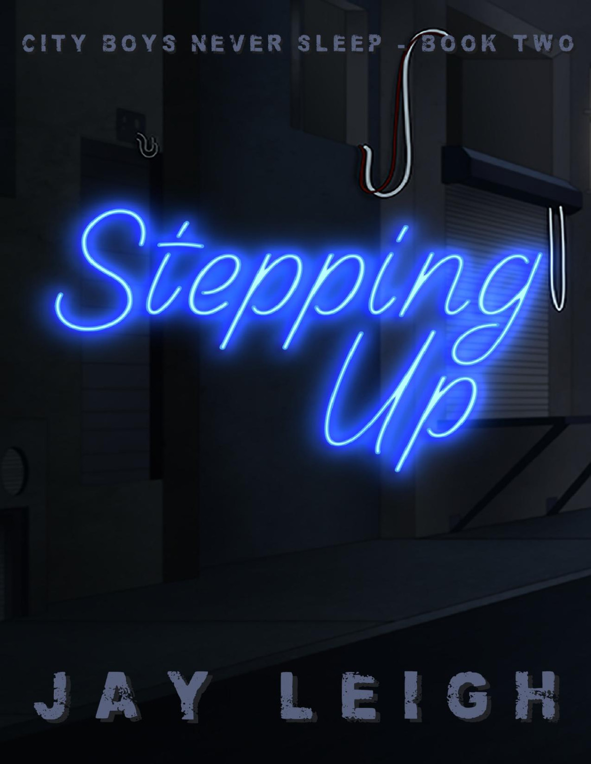 Stepping Up City Boys Never Sleep Book 2 Mm Jay Leigh