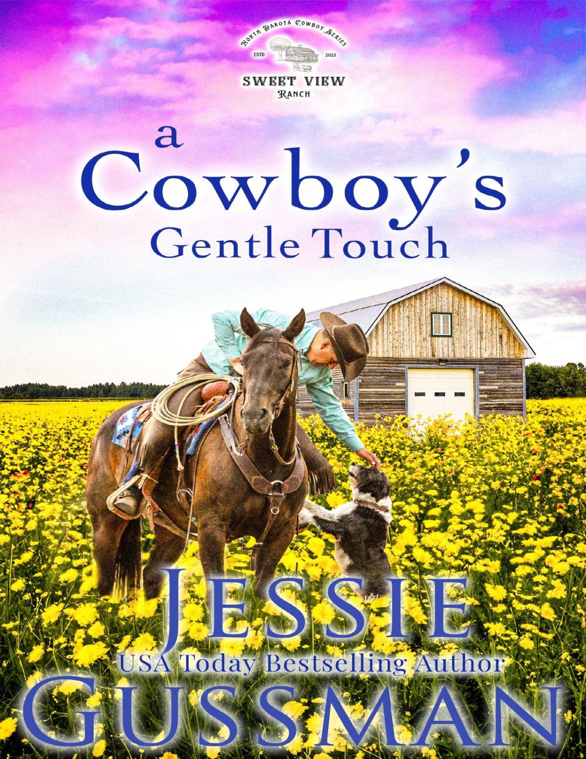 A Cowboys Gentle Touch Sweet View Ranch Western Christian Cowboy Romance Book 5 A Sweet Opposites Attract Romance Jessie Gussman
