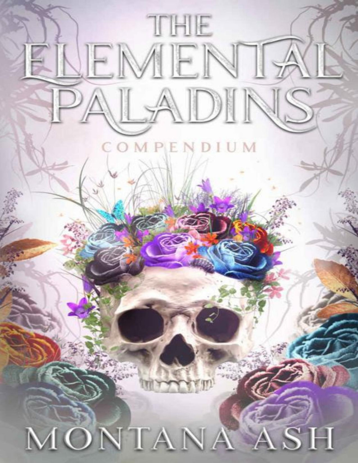 The Elemental Paladins Compendium A Guide To All Things Paladin Montana Ash
