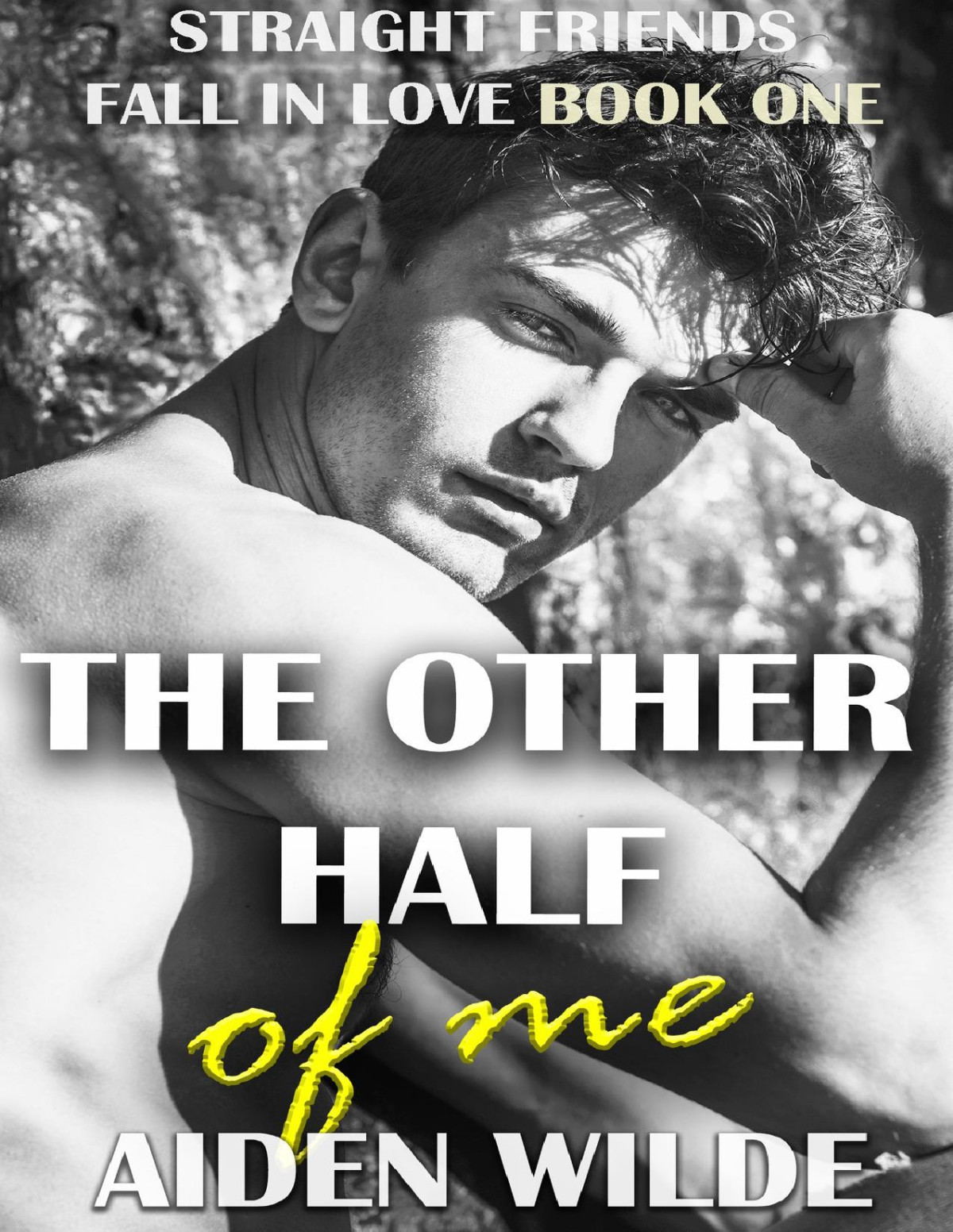 The Other Half Of Me Straight Friends Fall In Love 1 Straight To Gay Mm Bi Awakening Romance Aiden Wilde