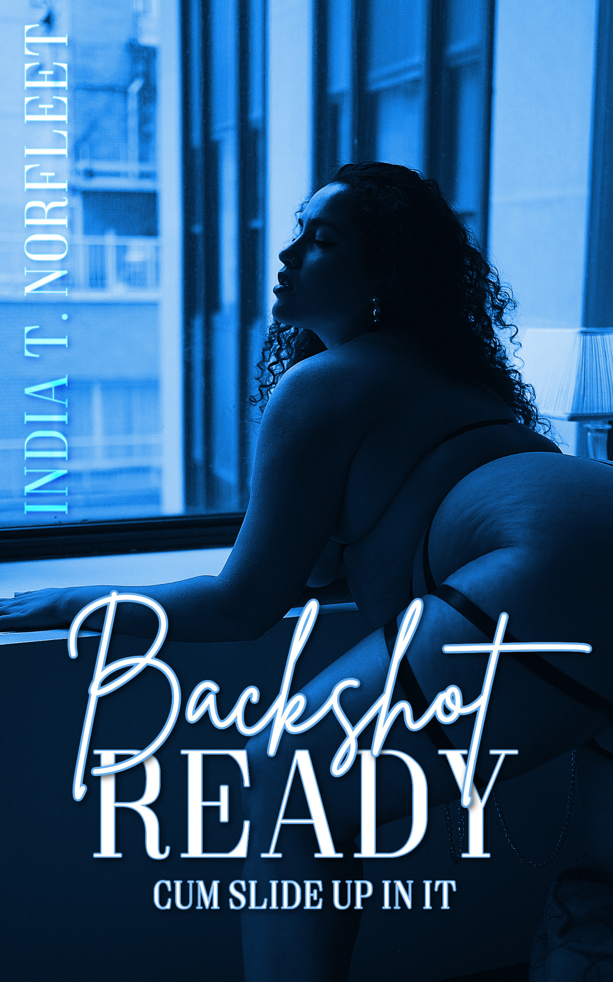 Backshot Ready Cum Slide Up In It India T Norfleet