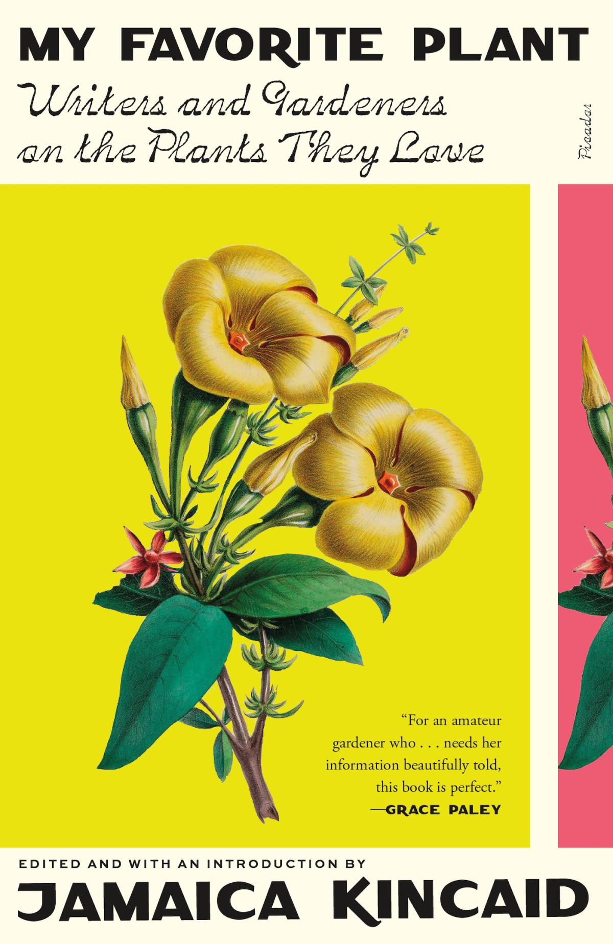 My Favorite Plant Writers And Gardeners On The Plants They Love Jamaica Kincaid