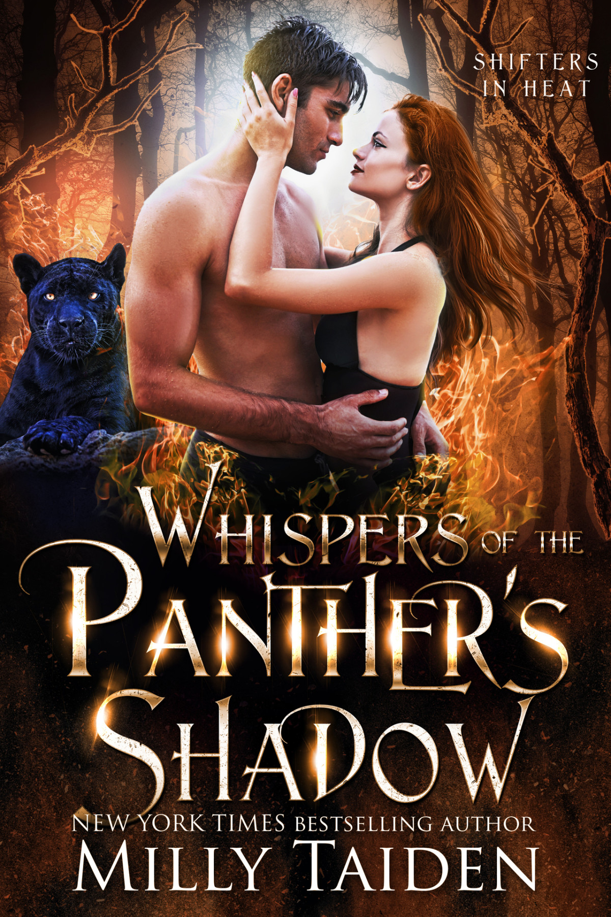 Whispers Of The Panthers Shadow Shifters In Heat Book 2 Milly Taiden