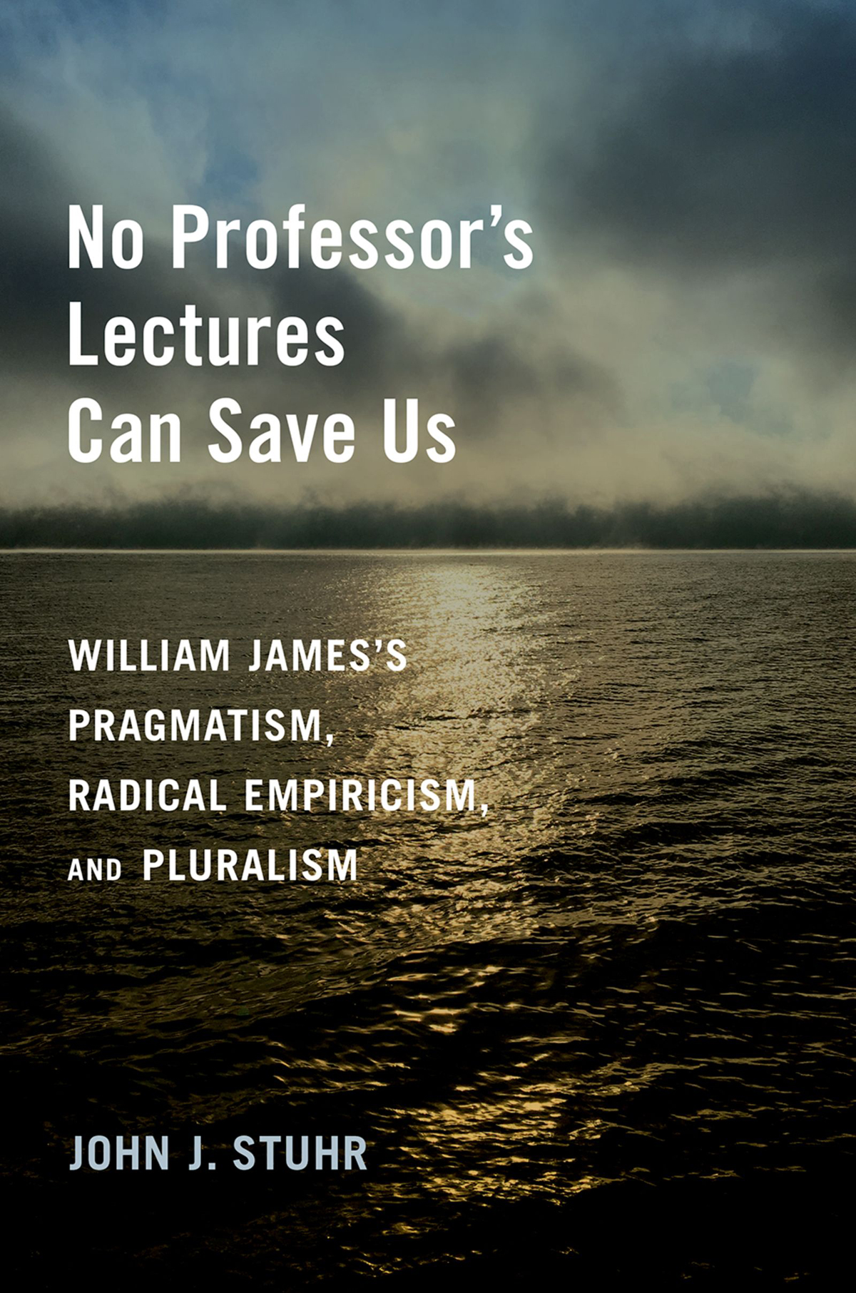 No Professors Lectures Can Save Us John J Stuhr