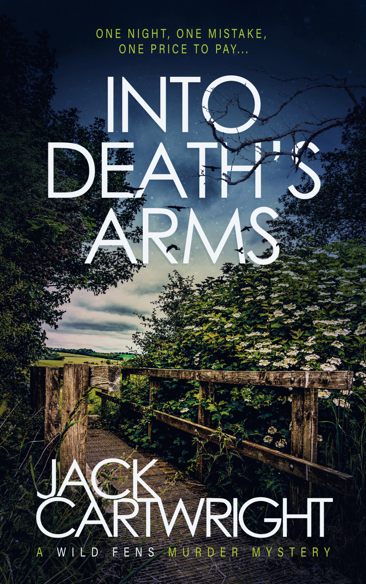 Into Deaths Arms Jack Cartwright
