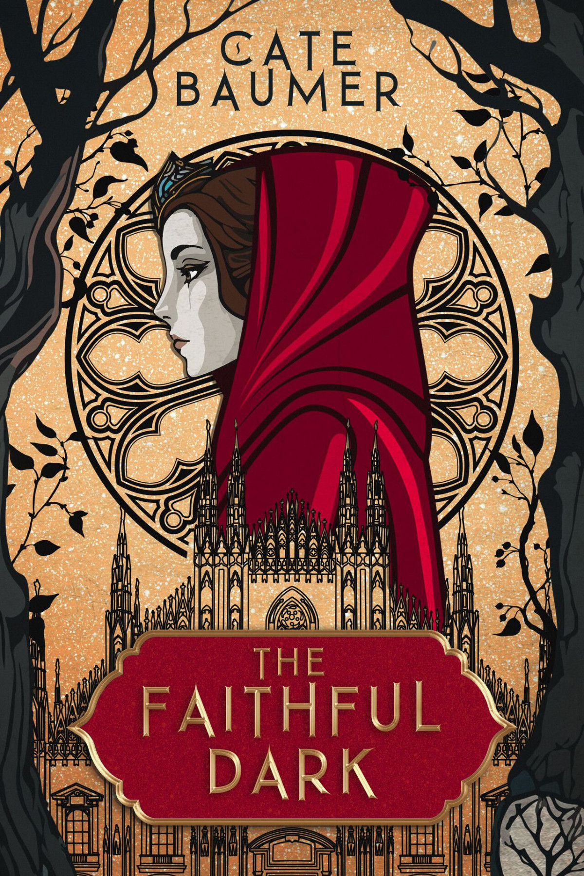 The Faithful Dark The Brilliant Soul Duology Book 1 Cate Baumer