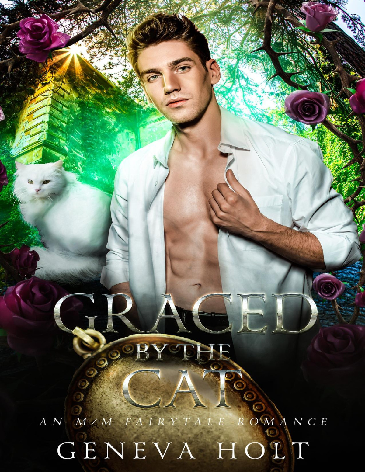 Graced By The Cat An Mm Fairytale Romance Once Upon A Time Geneva Holt